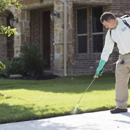 pest control wetherill park