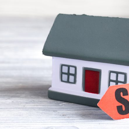 Why Should Cash Home Buyers Be Your First Choice for Selling Your House?